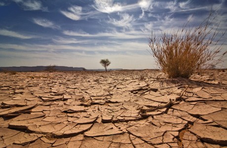 Was that a tumbleweed going past my vagina?
