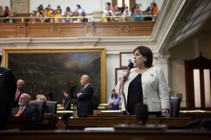 Texas state Sen. Leticia Van de Putte